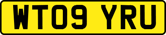 WT09YRU