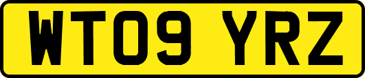 WT09YRZ