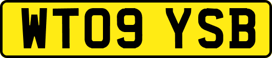 WT09YSB