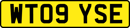 WT09YSE