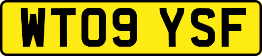 WT09YSF