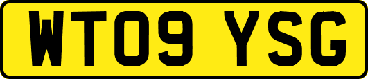WT09YSG