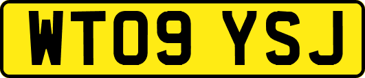 WT09YSJ