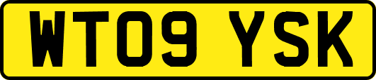 WT09YSK