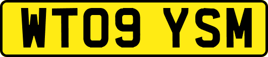 WT09YSM