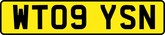 WT09YSN