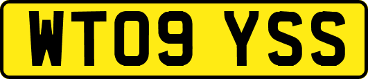 WT09YSS