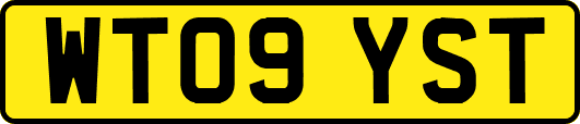 WT09YST