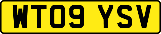 WT09YSV