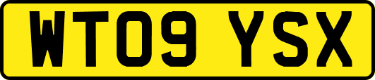 WT09YSX