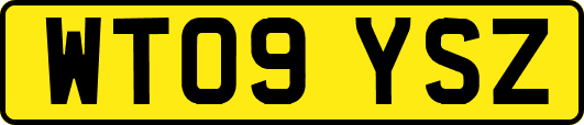 WT09YSZ
