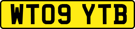 WT09YTB