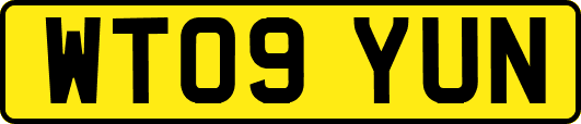 WT09YUN