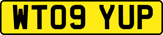 WT09YUP