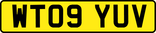 WT09YUV