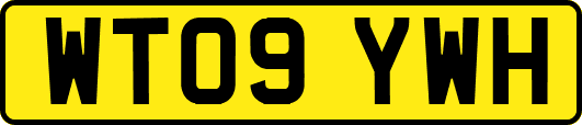WT09YWH
