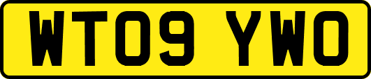 WT09YWO
