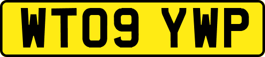 WT09YWP