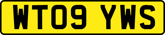 WT09YWS