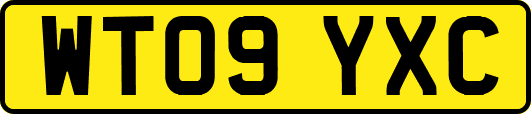 WT09YXC