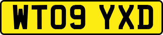 WT09YXD