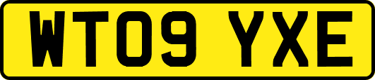 WT09YXE