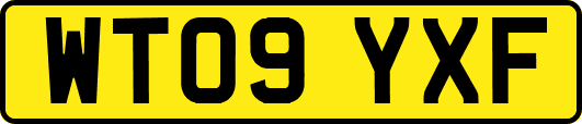 WT09YXF