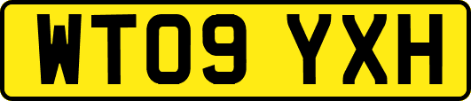 WT09YXH