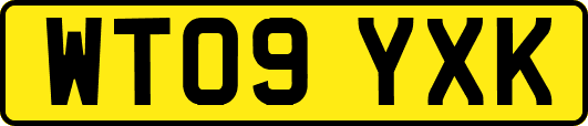 WT09YXK