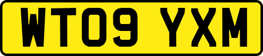 WT09YXM