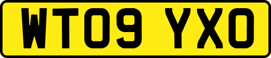 WT09YXO