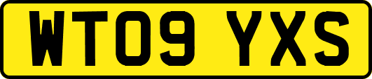 WT09YXS