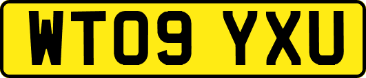 WT09YXU