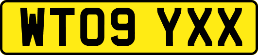 WT09YXX