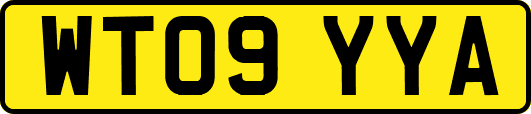 WT09YYA