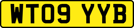 WT09YYB