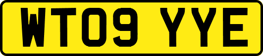 WT09YYE