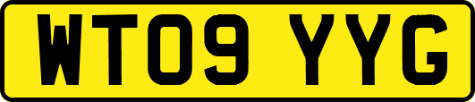 WT09YYG