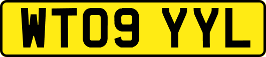 WT09YYL