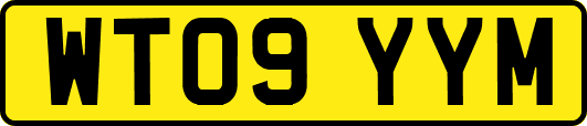 WT09YYM