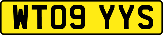 WT09YYS