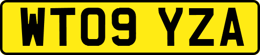WT09YZA