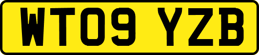 WT09YZB