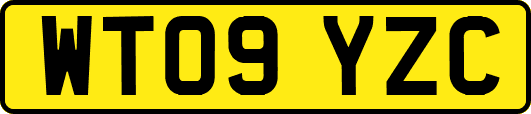 WT09YZC