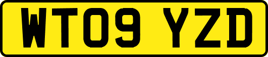 WT09YZD