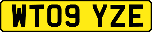 WT09YZE
