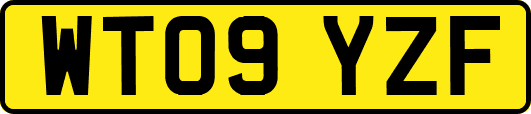 WT09YZF