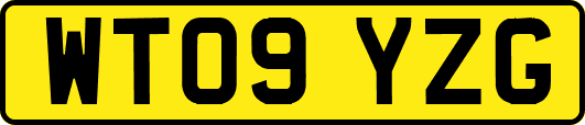 WT09YZG