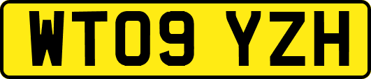 WT09YZH