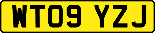 WT09YZJ